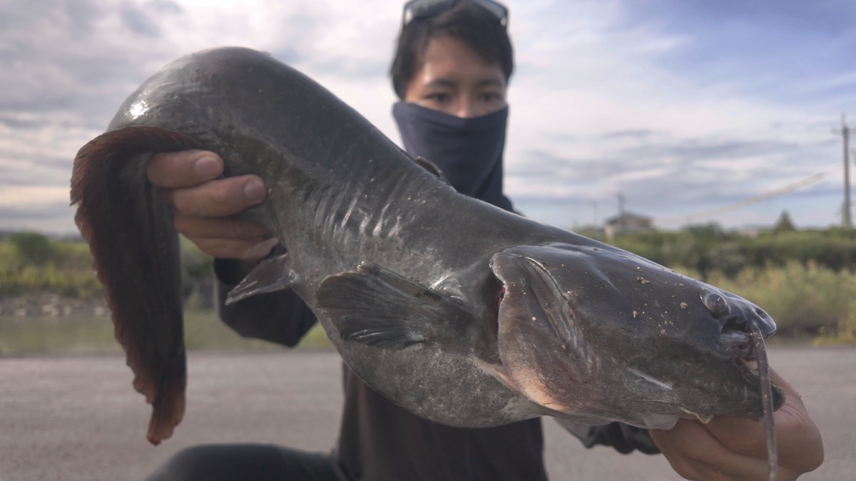 うっちー - フィッシングガイド